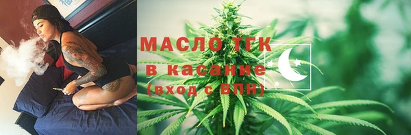 шишки Белоозёрский