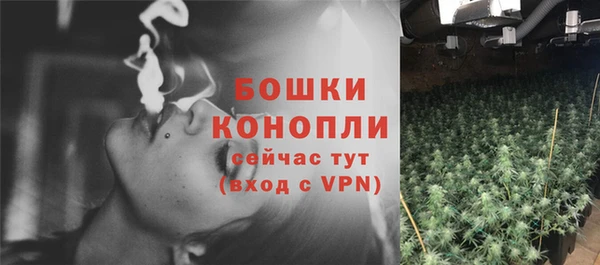 шишки Белоозёрский