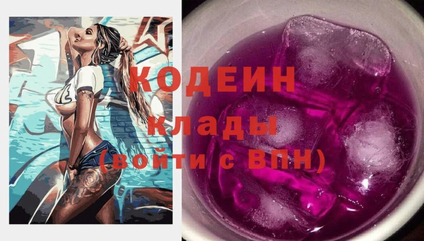 шишки Белоозёрский