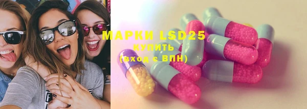 шишки Белоозёрский