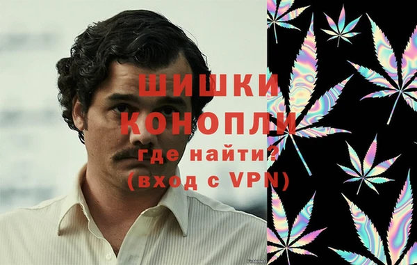 шишки Белоозёрский