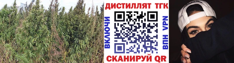 где продают наркотики  Свободный  kraken как войти  Дистиллят ТГК вейп с тгк 