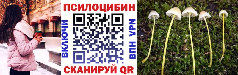 Псилоцибиновые грибы мицелий  Свободный 